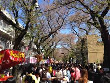 常盤平さくら祭り〜！