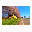 ECO☆CRZのエコ散歩～桜吹雪のもとで～
