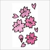 桜も終わり・・・
