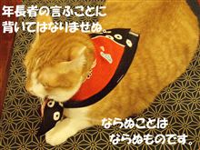 吾輩はSpirit R　みちびき地蔵