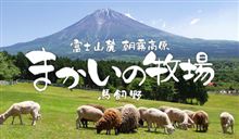 掛川ナイト前哨戦の提案 掛川ナイト前哨戦の提案
