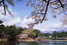 駒ヶ根市・馬見塚公園の桜と躑躅
