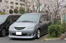 早いもので、桜も葉っぱ。