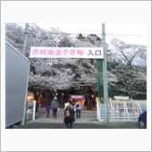 【千本桜】に・・・。