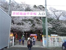 【千本桜】に・・・。
