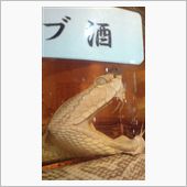 そんなに牙をむかなくても(汗)