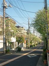 明日は点検(○゜ε^○)v ィェィ♪