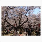高遠城址公園...