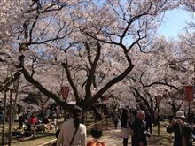 高遠城址公園...