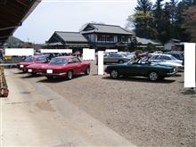alfaromeo spider duetto 1750 カフェドジュリア パート1 alfaromeo spider duetto 1750 カフェドジュリア パート1