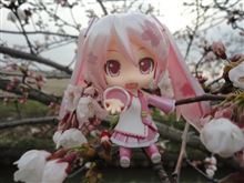 サクライツサクノ？