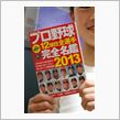 2013年プロ野球選手名鑑