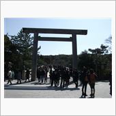 今週末は