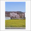 春 again