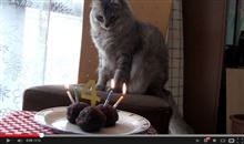 4歳の春