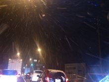 桜吹雪？