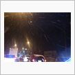 桜吹雪？