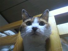 仕事場とお別れ(・ω・)/~ 仕事場とお別れ(・ω・)/~