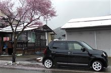 桜と雪とＮ－ｏｎｅ