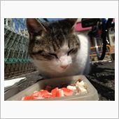 久しぶりダヨ