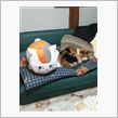三毛猫繋がりで・・・