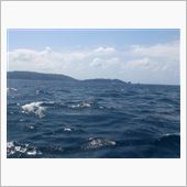 ＢＯＡＴＤＩＶＥ　Ｐart3♪
