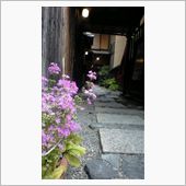 本日の町家。