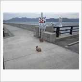 うさぎ島