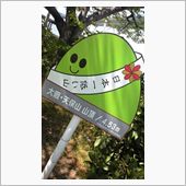 本日の登山！