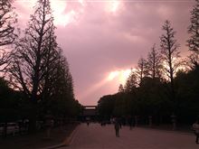 靖国神社に夕陽さす