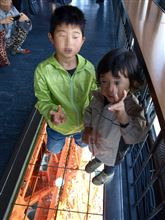東京タワーのこいのぼり
