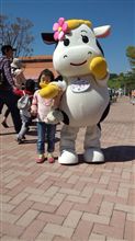 強風の恐怖…… 強風の恐怖……