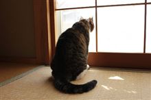動かないと息が～ぶぶぶ