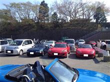 おやまでマッタリお花見