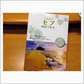 ボラカイ島への道4　＜ガイド ...