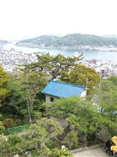 パパラッチをしに行ったのです。