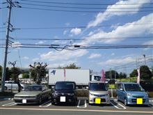 カレ定 in カレスト近くのホームセンター