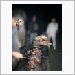懇親会BBQ♪