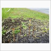 ｢あぐり平野｣視察(^^)d