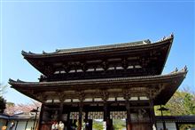 仁和寺（京都旅行１日目）