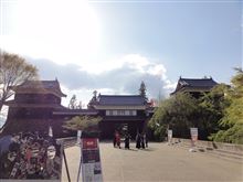 上田城千本桜