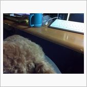 やっと連休。。。