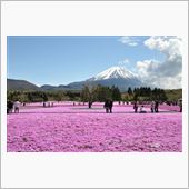 ＺＮ６　富士　芝桜祭りに行っ ...