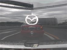 休日に見たクルマ