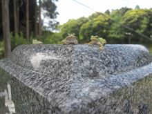 GW後半母親の実家に墓参りに