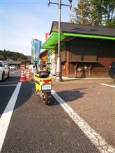 早ツリのリベンジに