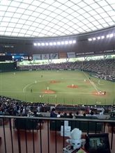 野球観戦（埼玉西武VS北海道日本ハム）