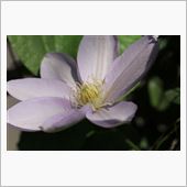 ５月４、５日。。。