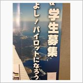 夢がおっきくなる全日空オフに ...