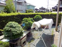 花粉飛散が終わって布団を干す